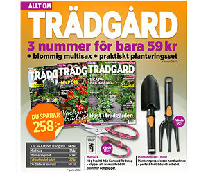 Allt om Trädgård + Sekatör och Spade från Fiskars